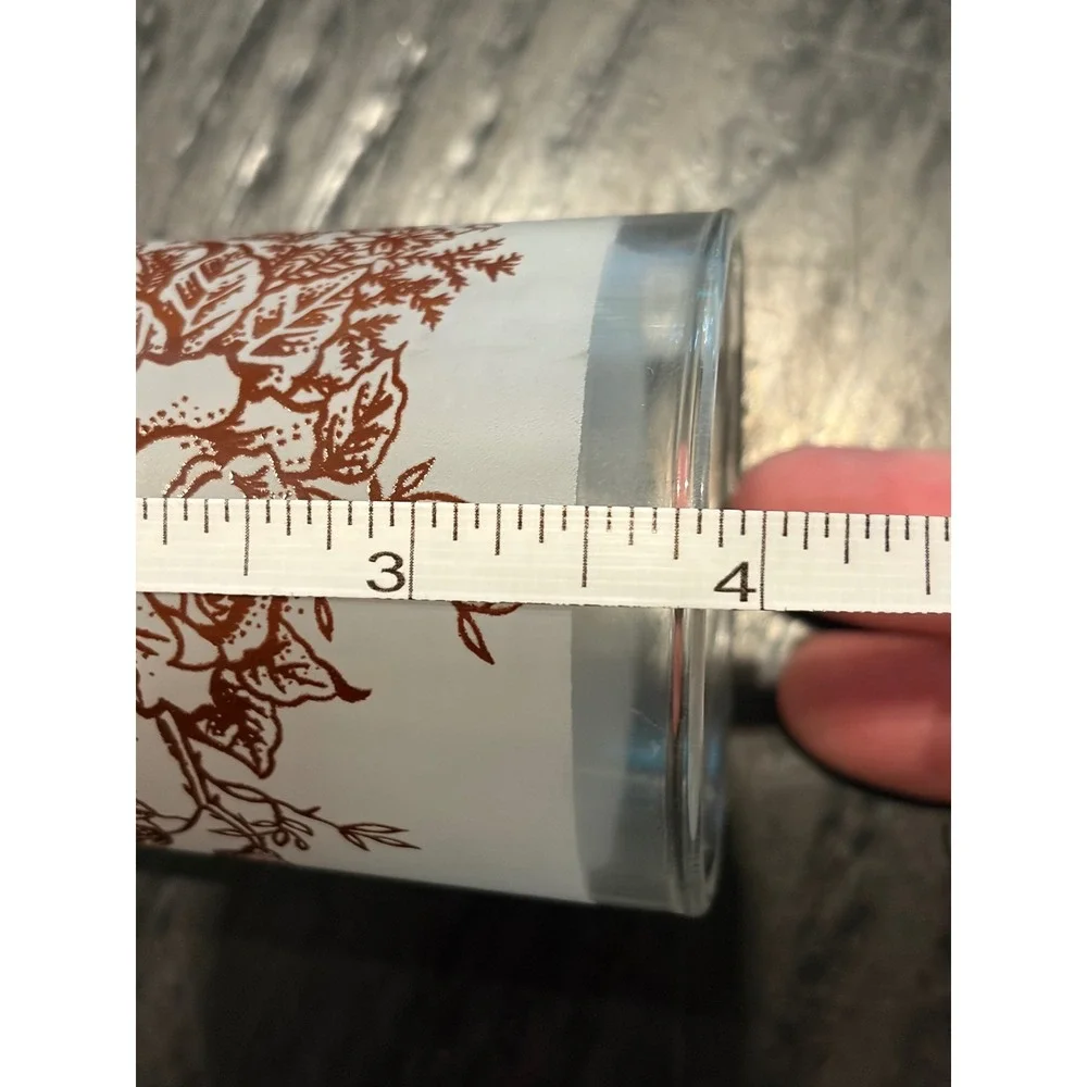 Swanky Swig Vintage MCM Frosted Glass Tumblers Brown Rose Floral 8 Oz Set Of 6
